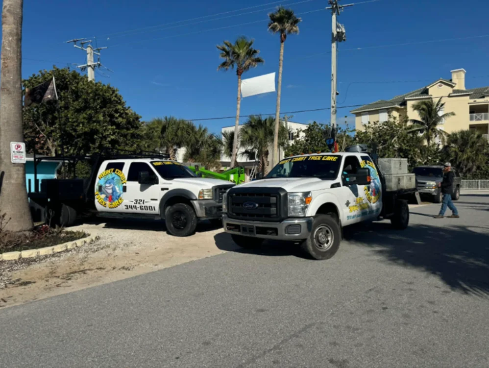 Professional tree care crew with equipment and tools ready for service work.