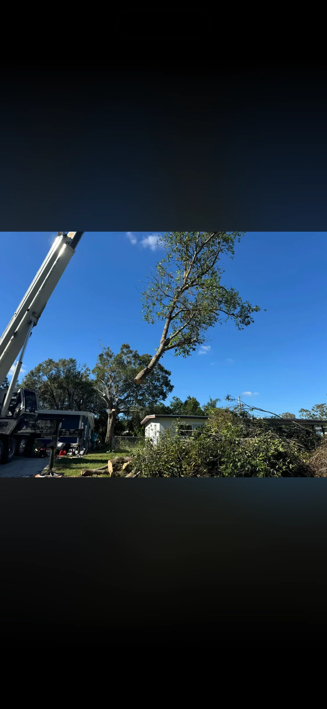 Mobile crane truck removing large mature tree with extended boom arm on residential property