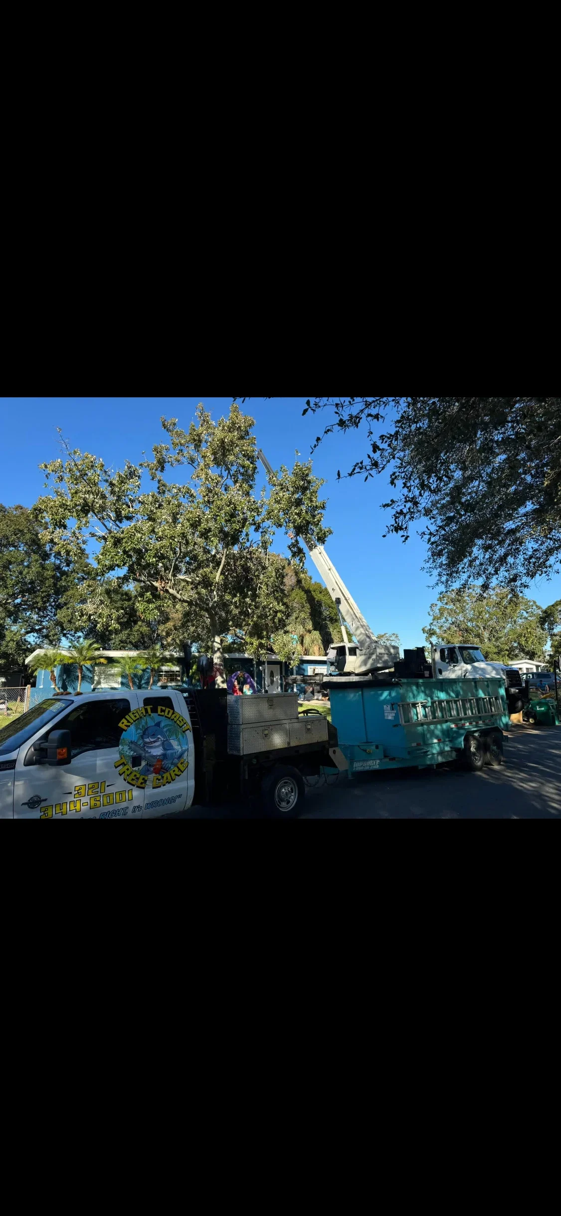 Boom truck removing large tree with chip truck and debris hauling equipment on-site