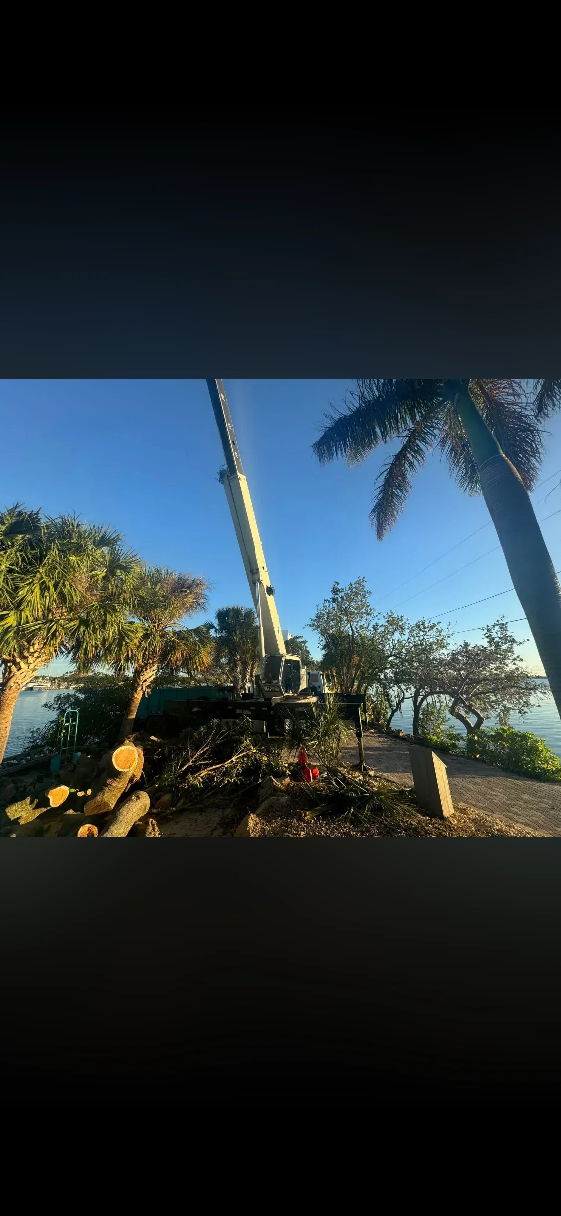 Hydraulic crane removing large tree with debris pile on waterfront property surrounded by palms